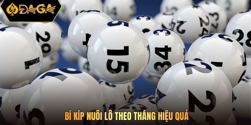 Bí kíp nuôi lô theo tháng hiệu quả