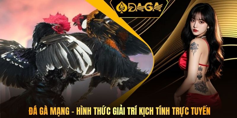 Đá gà mạng