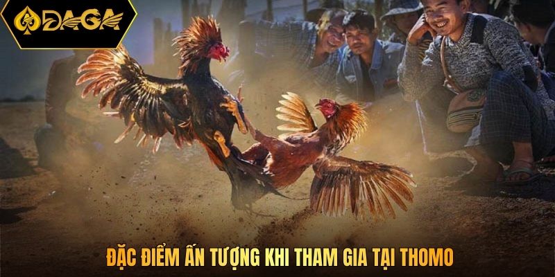 Đặc điểm ấn tượng khi tham gia tại thomo