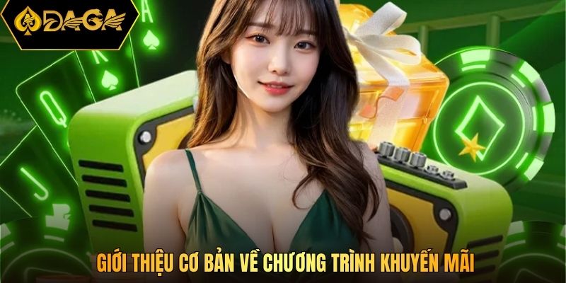 Giới thiệu cơ bản về chương trình khuyến mãi