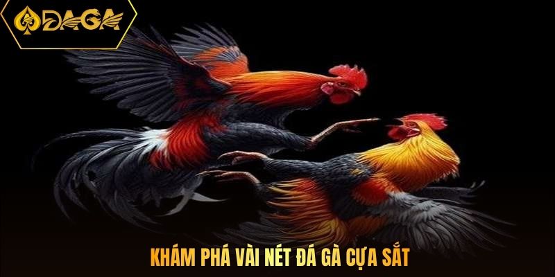 Khám phá vài nét đá gà cựa sắt