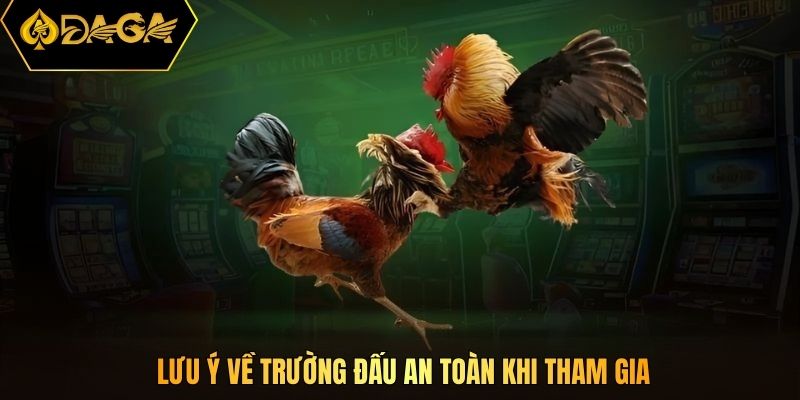 Lưu ý về trường đấu an toàn khi tham gia