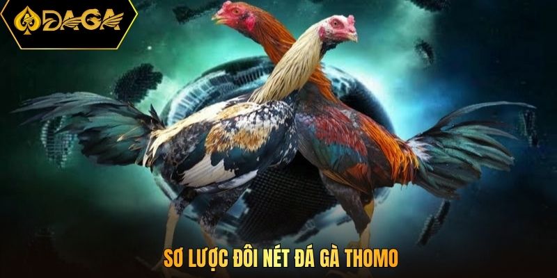 Sơ lược đôi nét đá gà Thomo