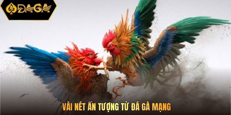 Vài nét ấn tượng từ đá gà mạng